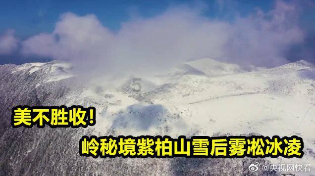贵州荒山发现一81年前坟墓,调查得知竟是抗战老兵,这是怎么回事