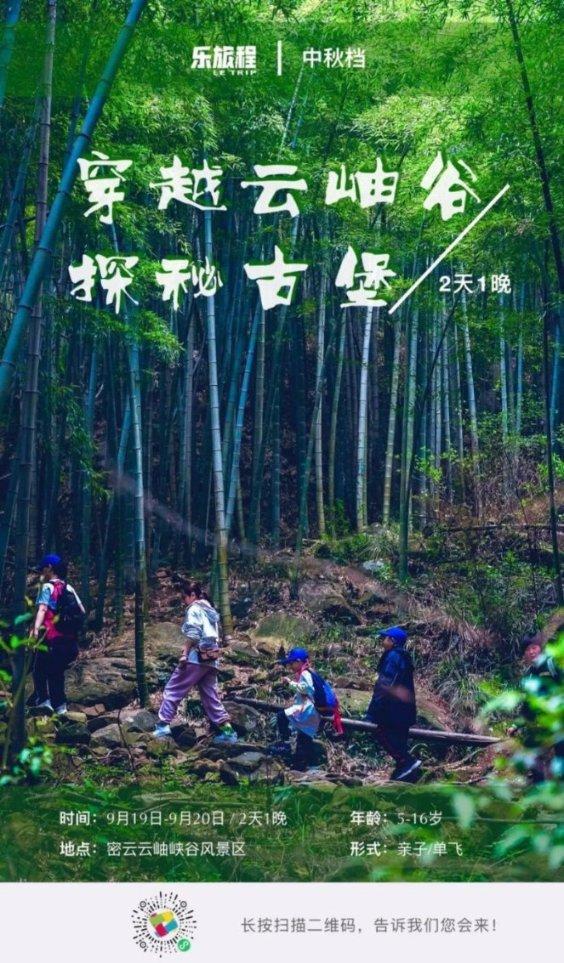 泡沫森林