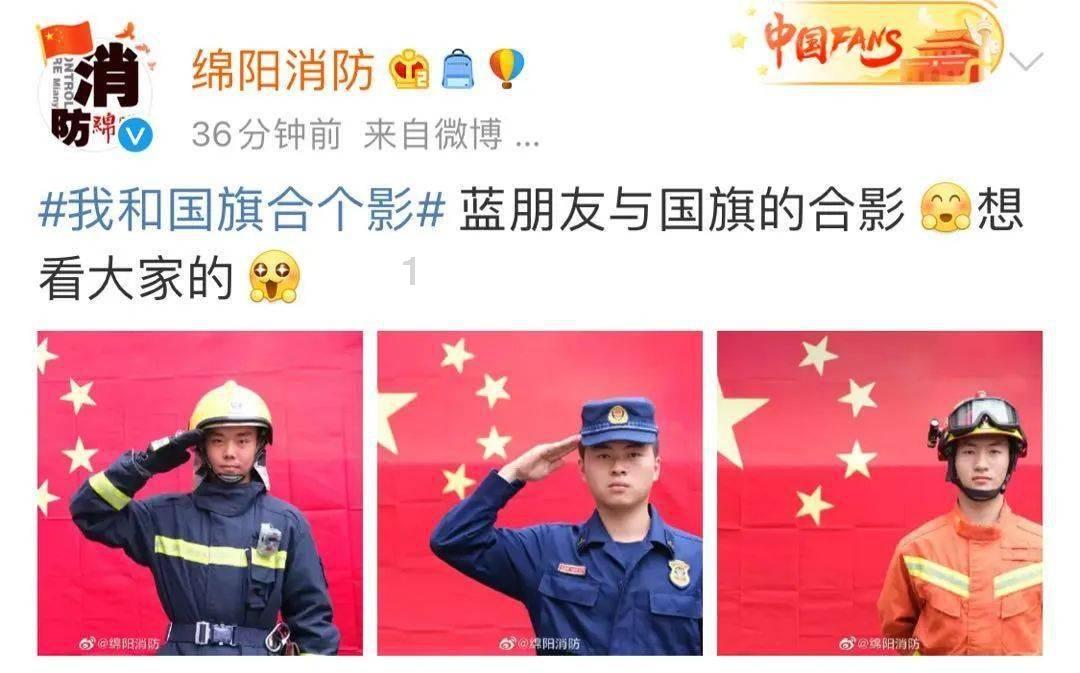 可爱的小考拉